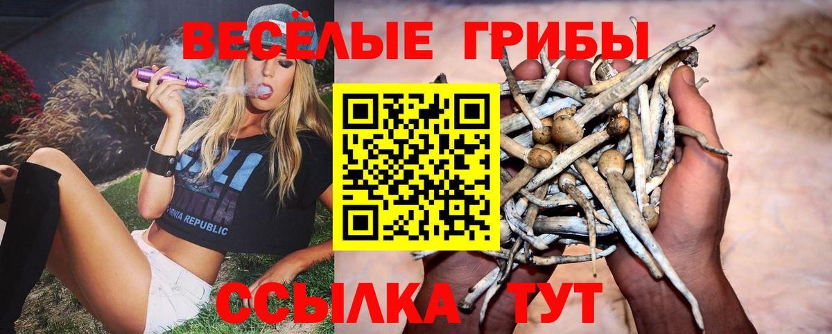 Псилоцибиновые грибы Magic Shrooms Усть-Лабинск