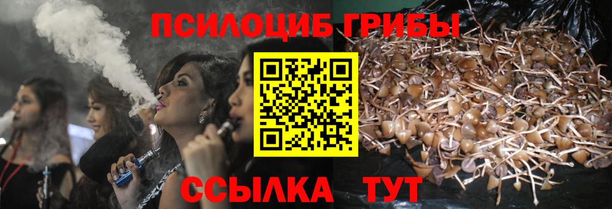 Усть-Лабинск  Галлюциногенные грибы Cubensis  Вход с VPN 